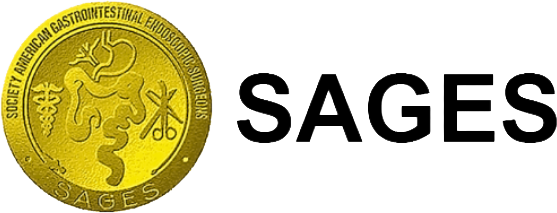 Logo – Society for American Gastrointestinal Endoscopic Surgeons